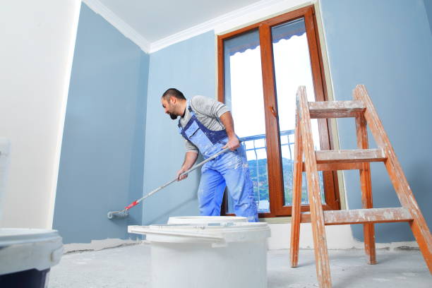 Mold Documentation for Insurance Claims in Struthers, OH